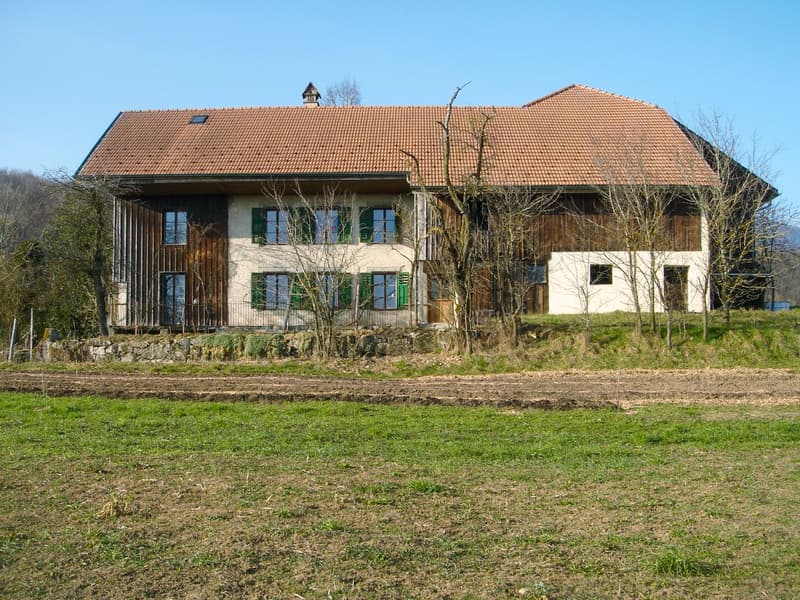 Ihr Traum in Wiedlisbach (1)
