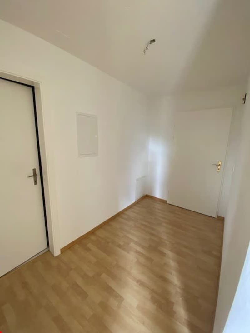 Schöne, ruhige 2½ Zimmer Wohnung (5)