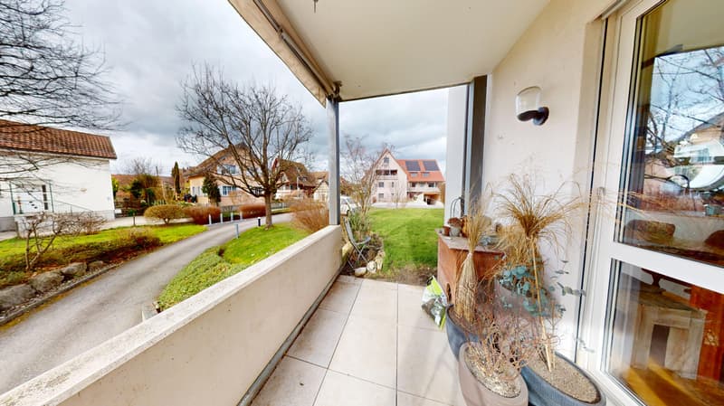 Stylish living near the lake (8)