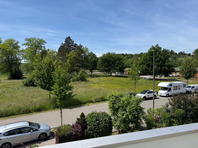 Sunny 4.5 room row house with 2 gardens & EHP (1)