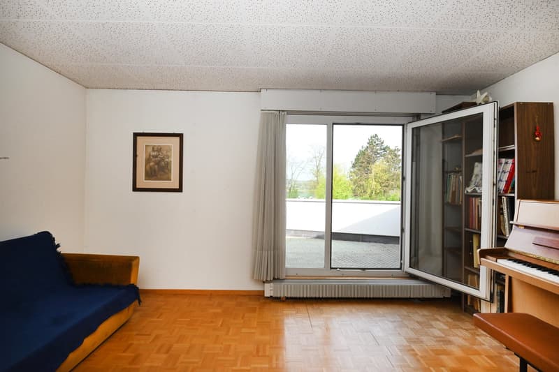 Sunny 4.5 room row house with 2 gardens & EHP (12)