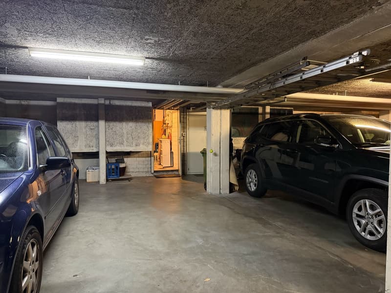 Casa a schiera di 4,5 locali soleggiata con 2 giardini & EHP (17)
