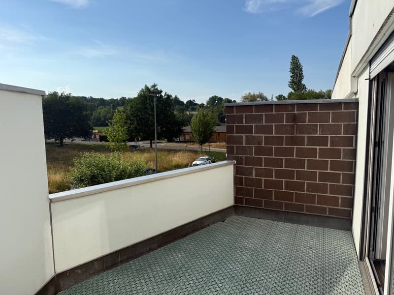 Casa a schiera di 4,5 locali soleggiata con 2 giardini & EHP (12)