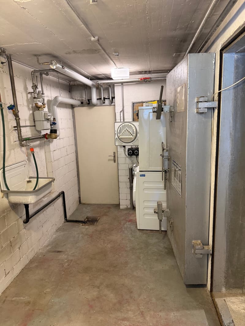 Casa a schiera di 4,5 locali soleggiata con 2 giardini & EHP (16)