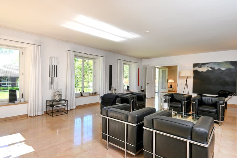 Exclusive Villa in Riehen – Spacious Living on the Highest Level (with Lift) (5)