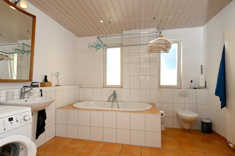 5.5 Zi.-Doppel-EFH mit Ateliergebäude & Werkstatt (9)