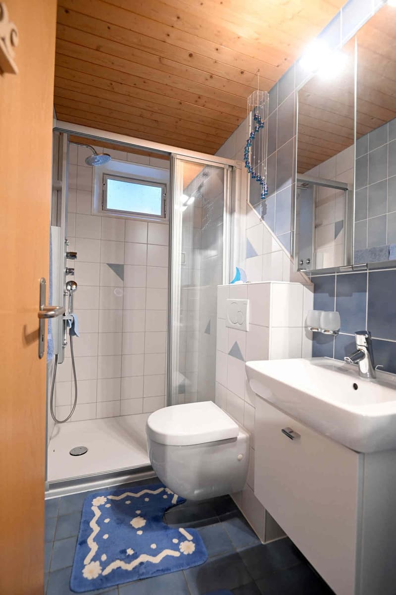 sonnig, ruhig und im Grünen! 5.5-Zimmer-Doppel-EFH (10)