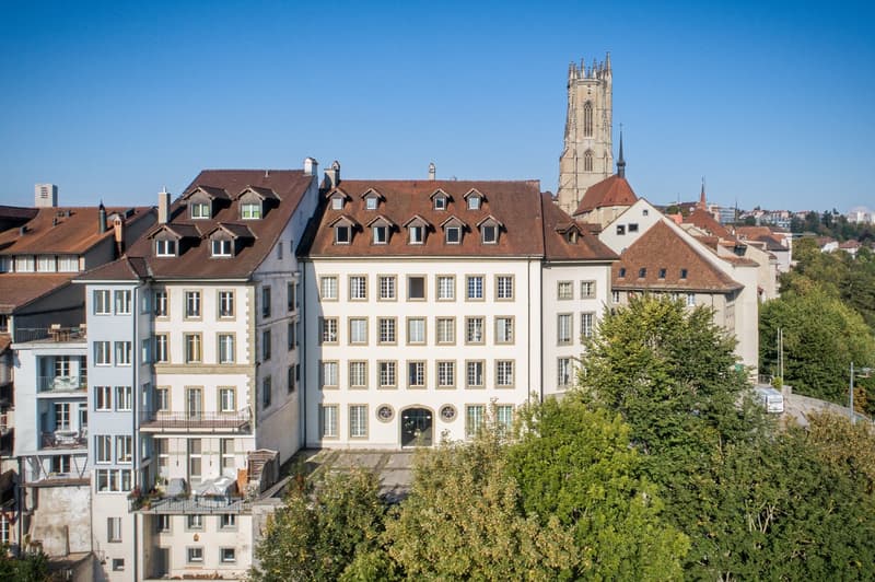 Immeuble de caractère à saisir au coeur de la vieille ville de Fribourg (2)