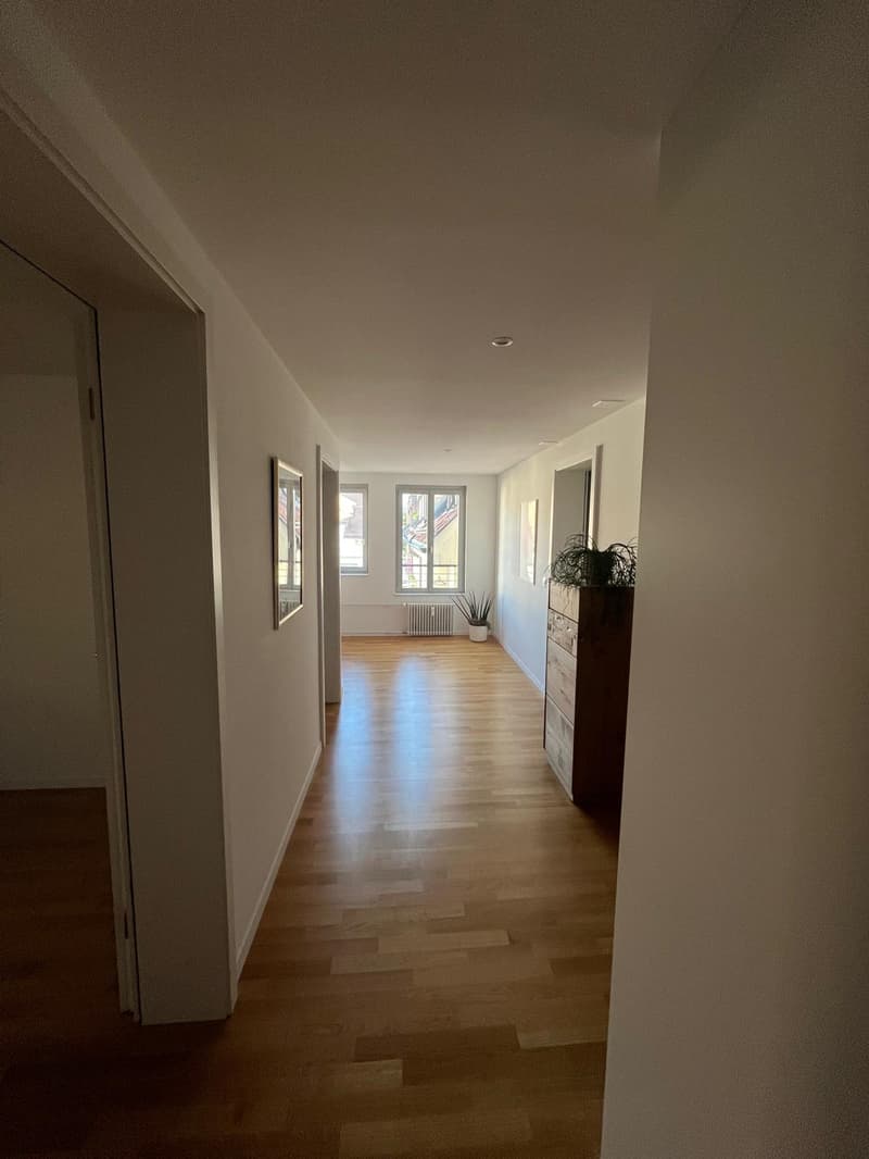 Zentraler Wohngenuss auf höchstem Niveau - mitten im Herzen von Luzern (9)
