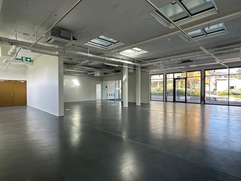 Empty room, grey floor, white walls, skylights, two columns, fire extinguisher, an entrance door.