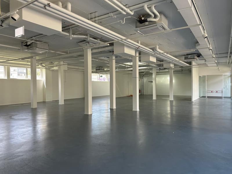 Empty industrial room, concrete floor, white columns, ventilation pipes, windows