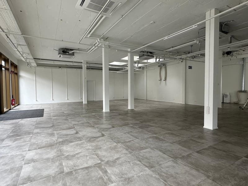 Modern commercial property in Chavannes-près-Renens (2)