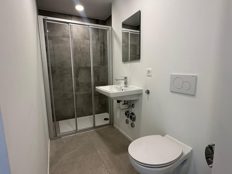 Small bathroom with walk-in shower, sink, and toilet