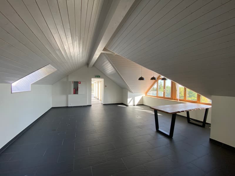 Complexe d’exception de 1’900 m² – Idéal pour fondation, centre de loisirs ou institution (13)