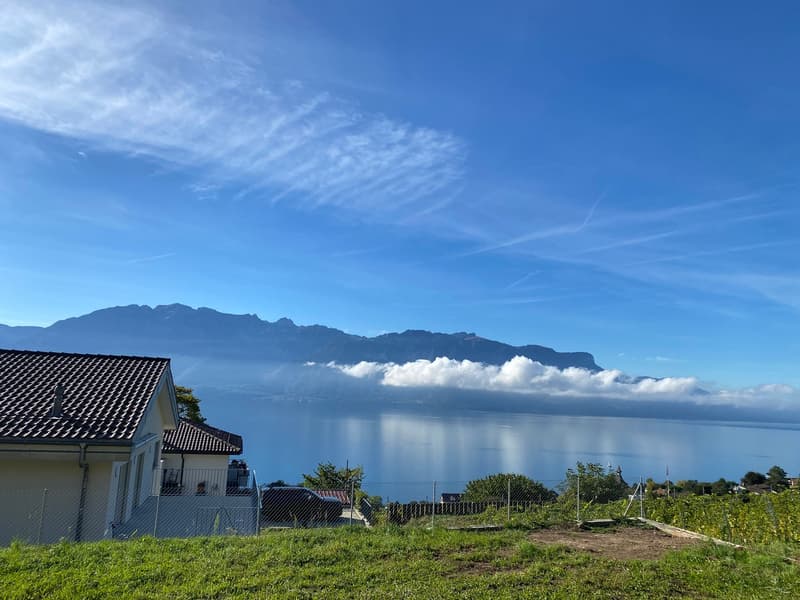 À LOUER À CHARDONNE – Villa jumelée au cœur des vignes (9)