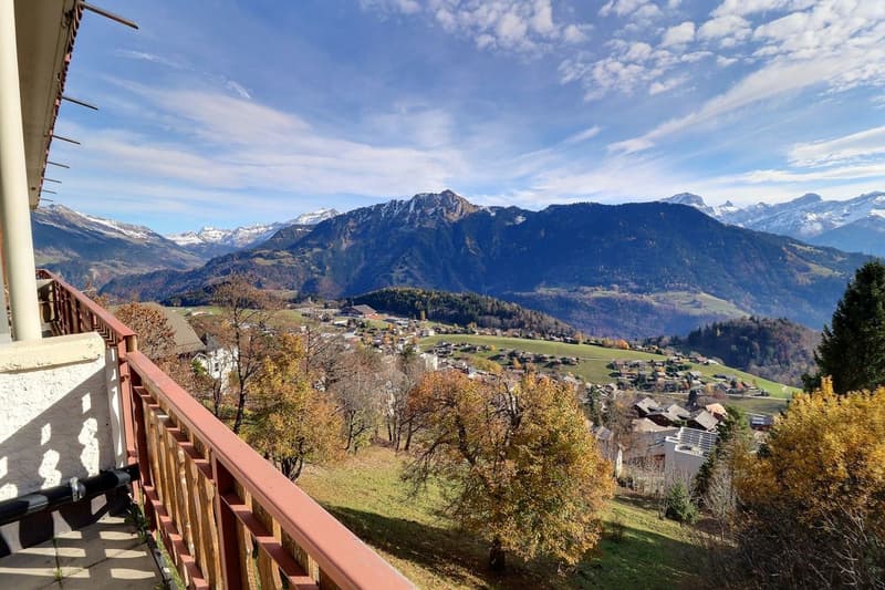 A true gem in Leysin with a breathtaking view of the Alps (3)
