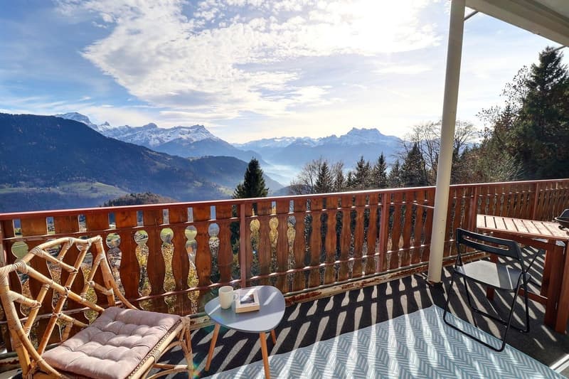 A true gem in Leysin with a breathtaking view of the Alps (5)
