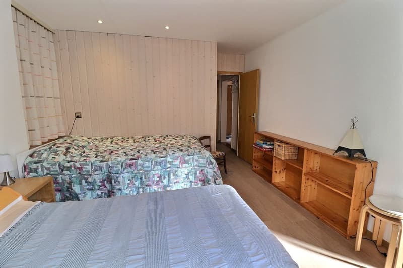 A true gem in Leysin with a breathtaking view of the Alps (10)
