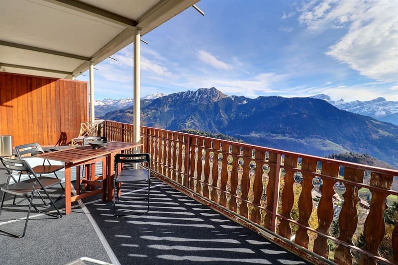 A true gem in Leysin with a breathtaking view of the Alps (4)