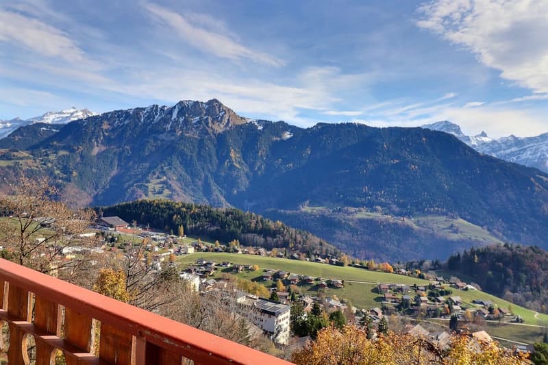 A true gem in Leysin with a breathtaking view of the Alps (2)