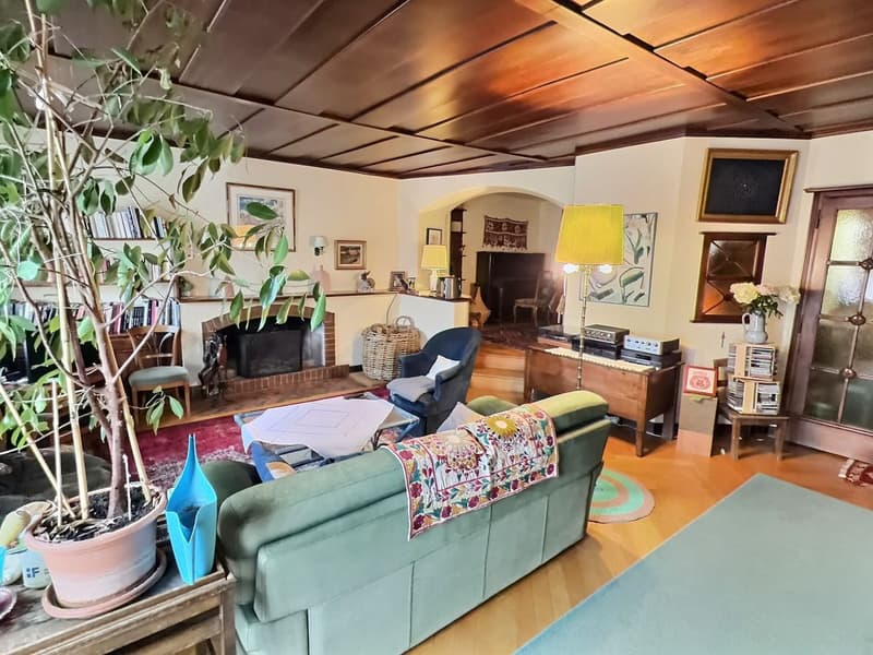 Magnifique appartement avec potentiel d'agrandissement (5)