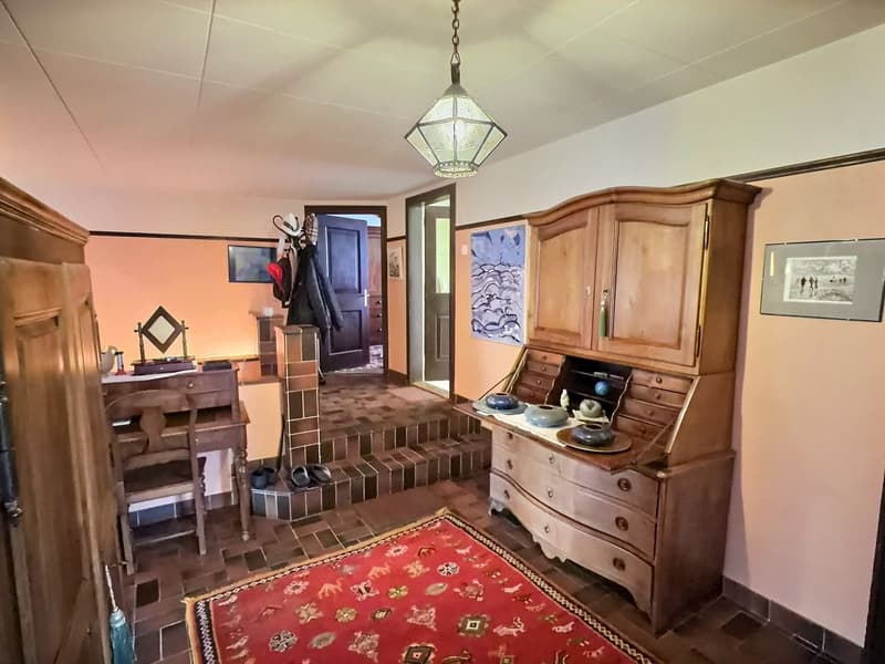 Magnifique appartement avec potentiel d'agrandissement (10)