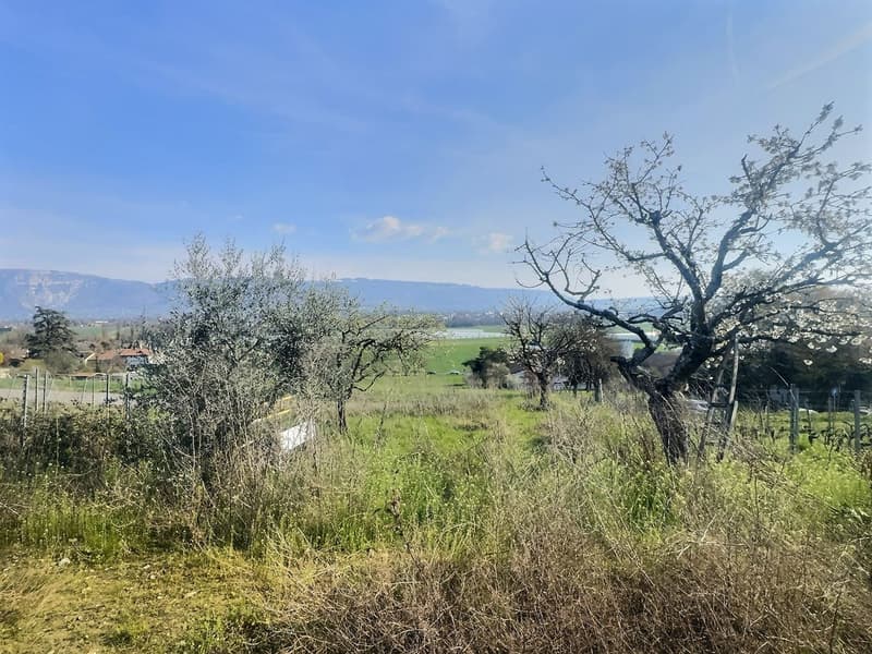 Cabanon de jardin aménagé avec terrain pour amoureux de la nature (3)