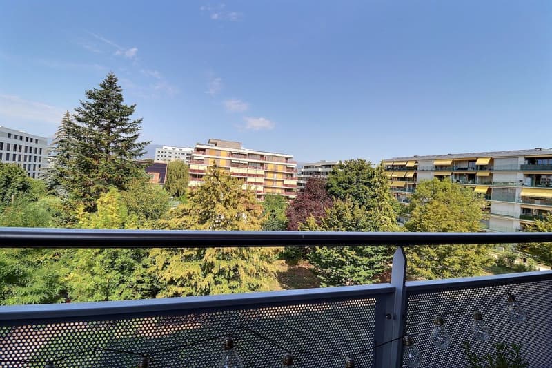 Magnifique appartement de 5 pièces quartier La Châtelaine (1)