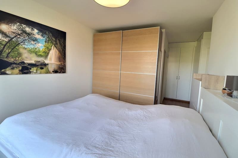 Magnifique appartement de 5 pièces quartier La Châtelaine (9)
