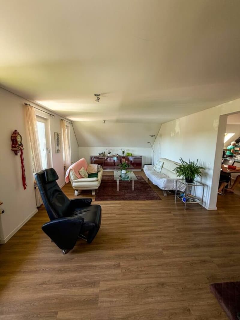 Appartamento Haldenstrasse 56 2° piano con galleria (9)