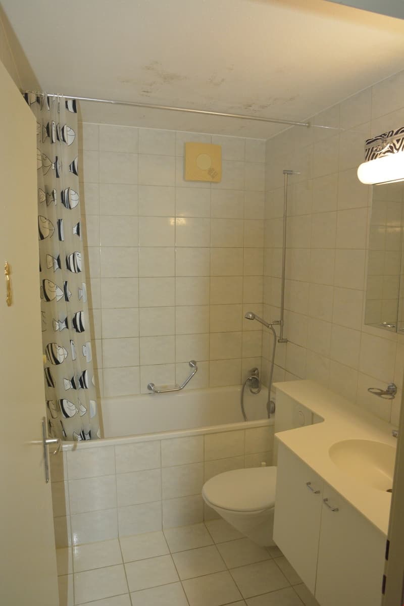 Bello appartamento in affitto a Langenthal (6)