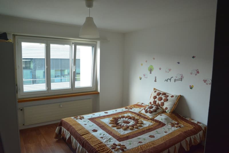 Bello appartamento in affitto a Langenthal (5)