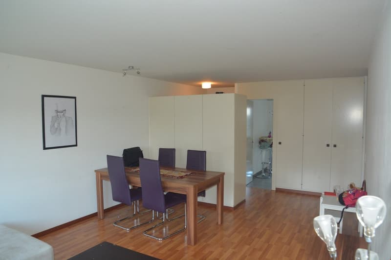 Bello appartamento in affitto a Langenthal (3)