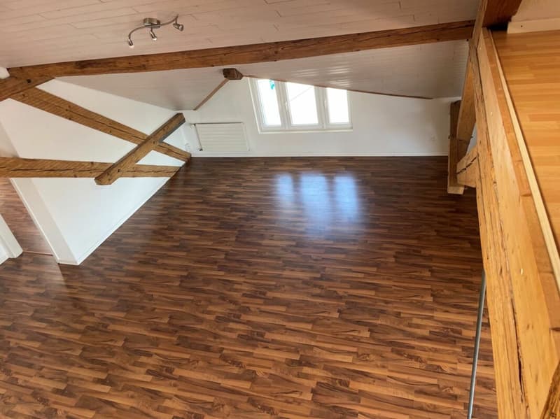 5.5 Zimmer-Wohnung (3)
