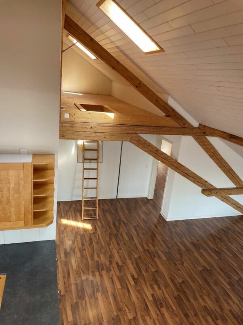 5.5 Zimmer-Wohnung (2)