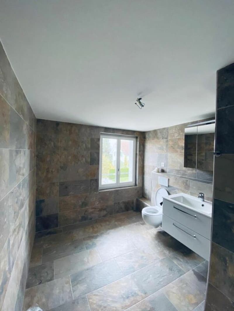MFH Hauptstrasse 31, Reiden (2.5 Zimmerwohnung) (7)