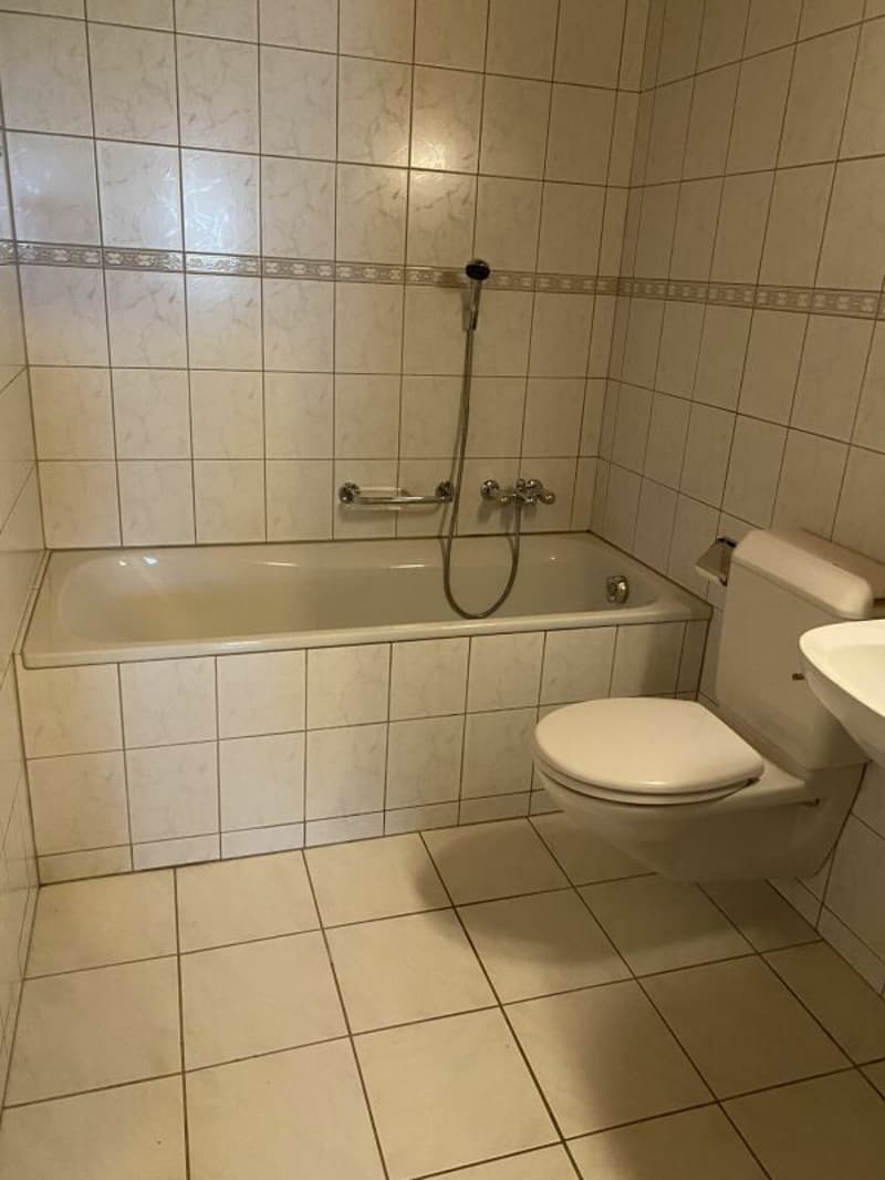 2.5-Zimmer-Wohnung zu vermieten (4)