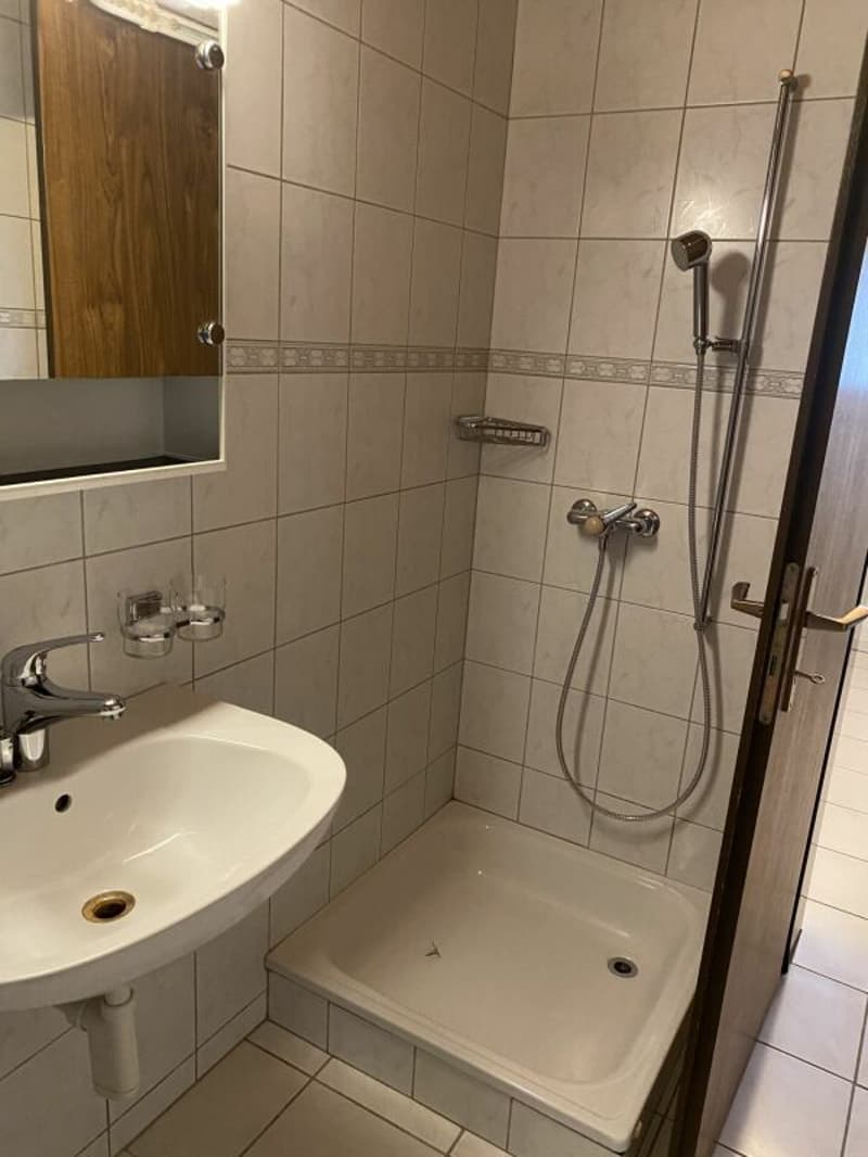 2.5-Zimmer-Wohnung zu vermieten (3)