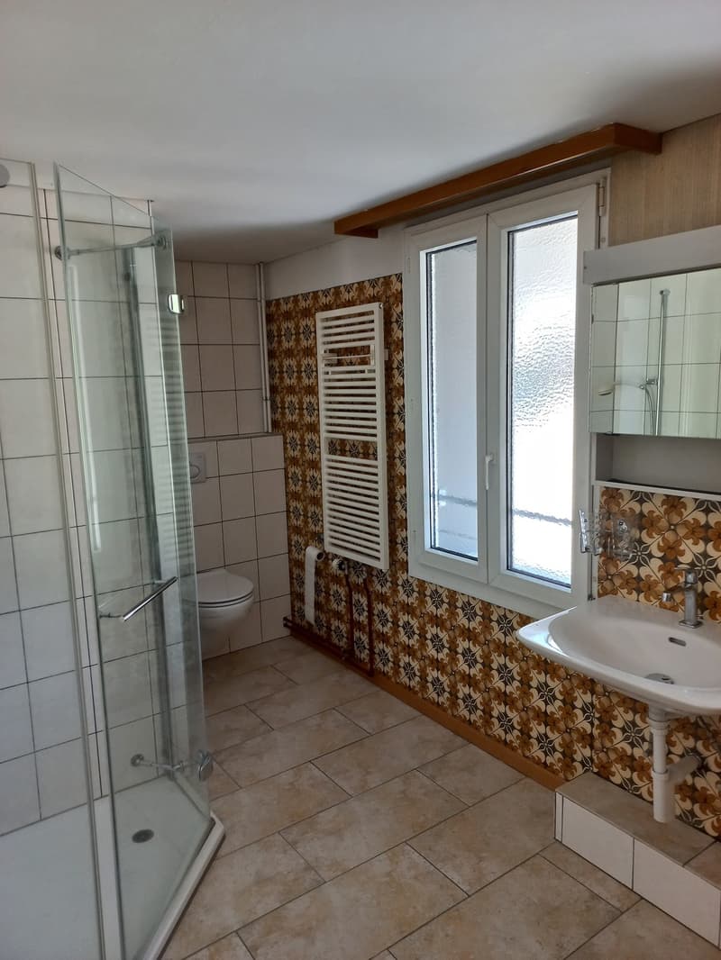 Incantevole appartamento maisonette di 6 locali in un edificio storico (5)