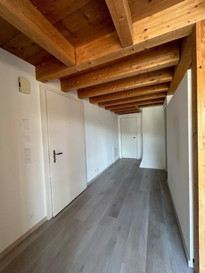 Appartamento mansardato luminoso con charme (4)