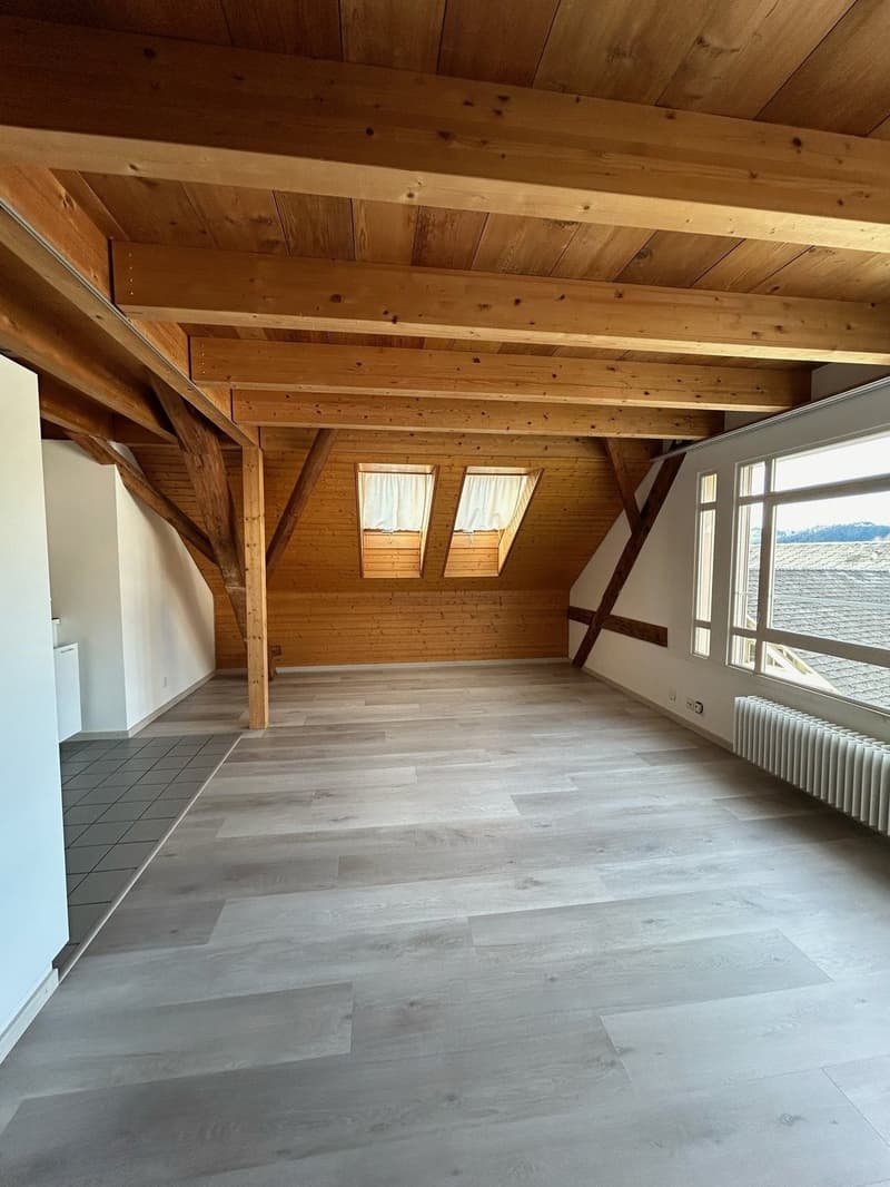Appartamento mansardato luminoso con charme (3)