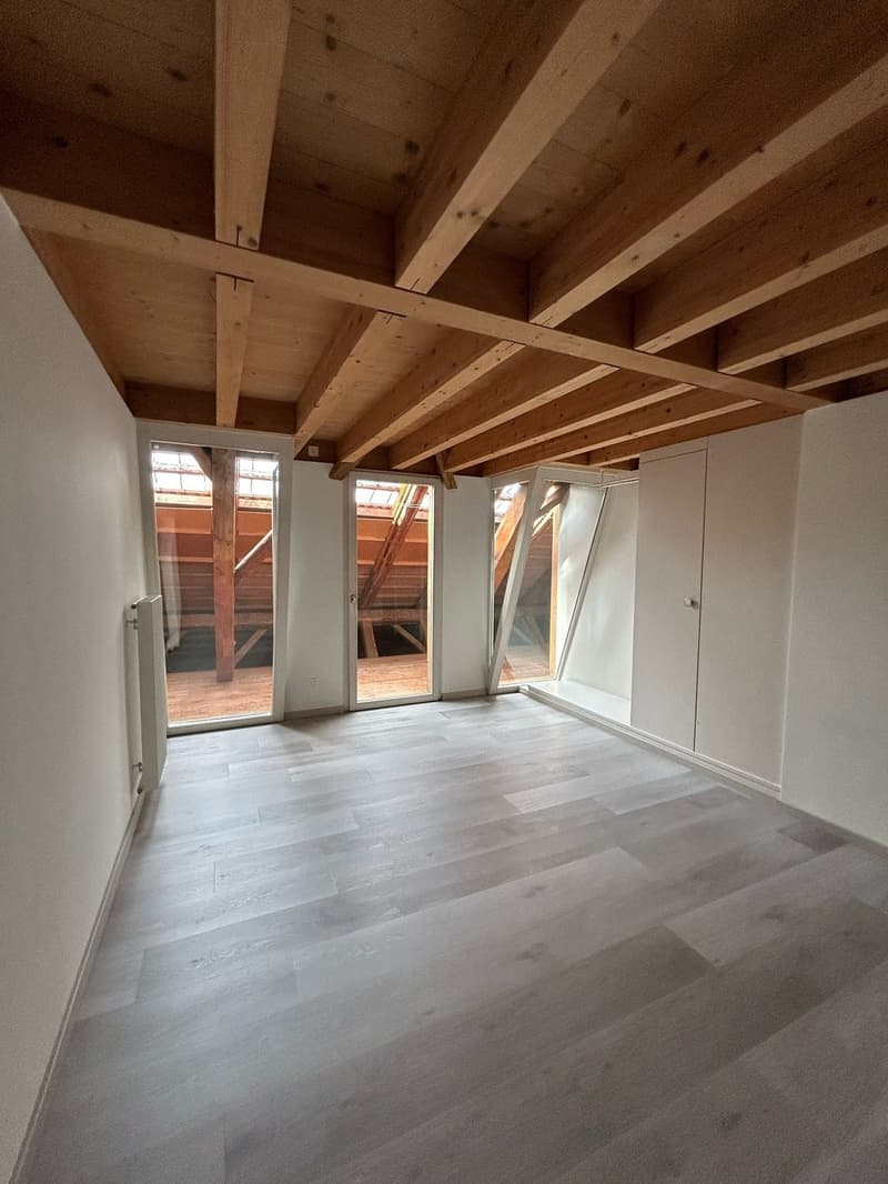 Appartamento mansardato luminoso con charme (6)