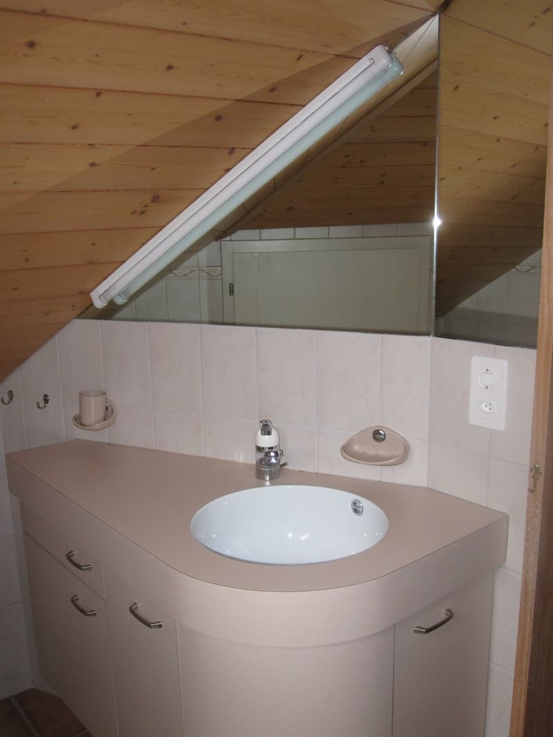 2 Stanze appartamento, 3533 Bowil (7)