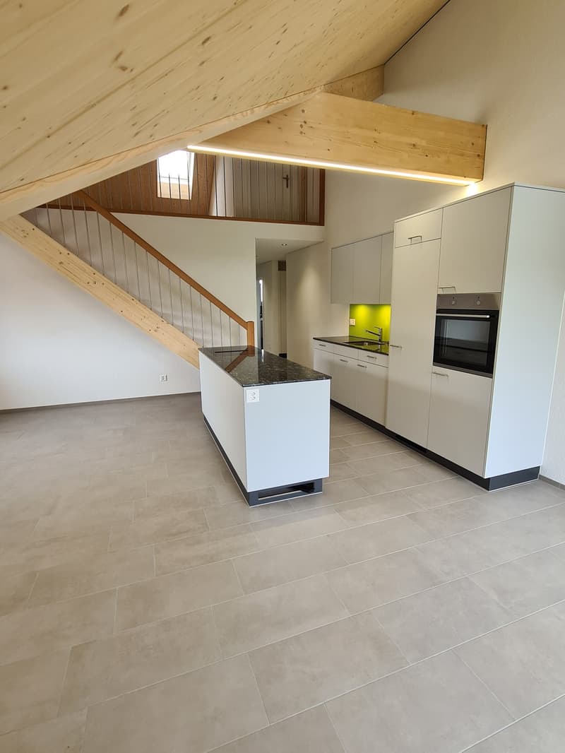 Appartement 4,5 pièces avec galerie (4)