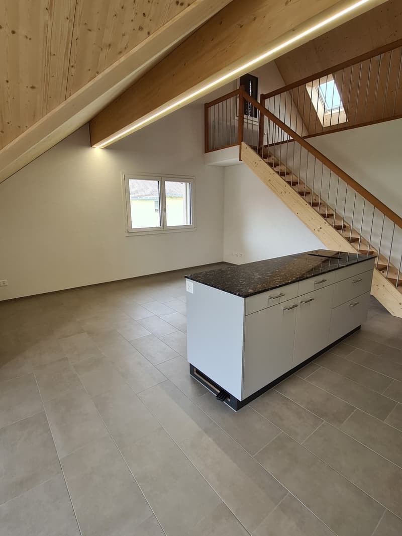 Appartement 4,5 pièces avec galerie (5)
