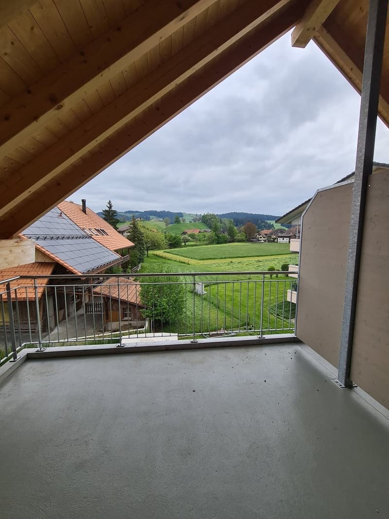 Neubauwohnung - Wohnen im neuen EmmePark (10)