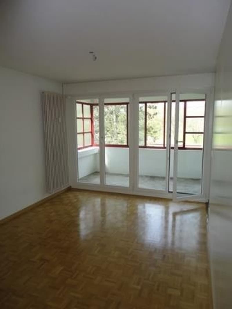 Helle 3.5-Zimmerwohnung an ruhiger Lage (3)