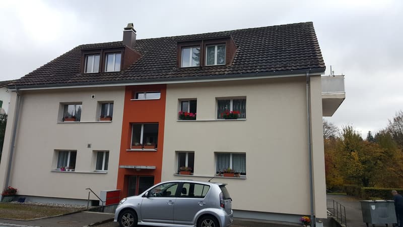 Charmante 3-Zimmerwohnung (1)