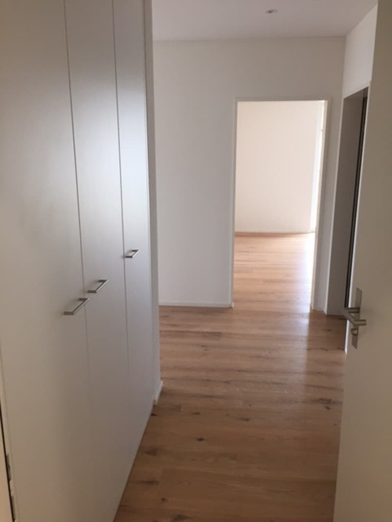 Entrée mit Wandschrank einer typähnlichen Wohnung