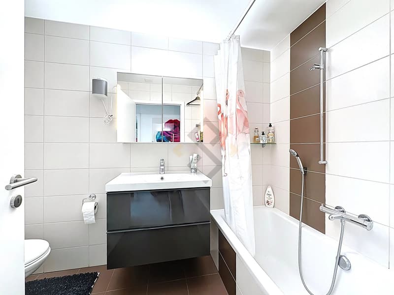 Apartment 4.5 rooms with garden, 25 minutes from Fribourg (6)